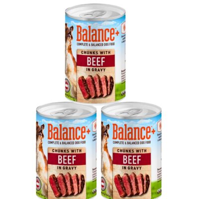 Balance Dog Food – Complete & Balanced Nutrition for Dogs