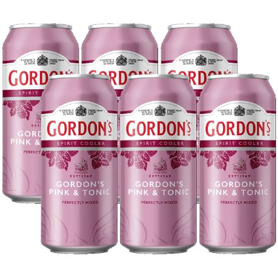 Pack of Gordon's Pink Mixed Spirit Can Drink - Image 2